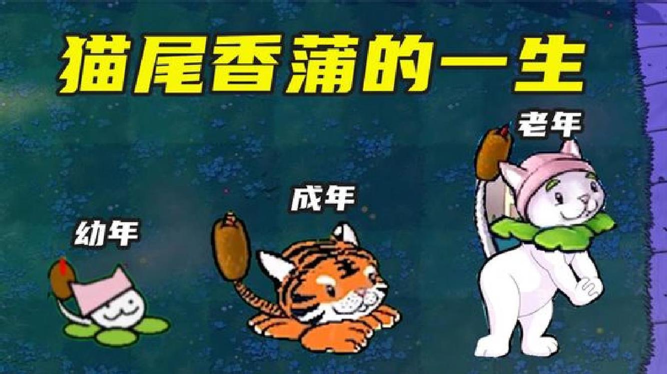 植物大战僵尸:猫尾香蒲的一生,本是戴夫的一只猫?