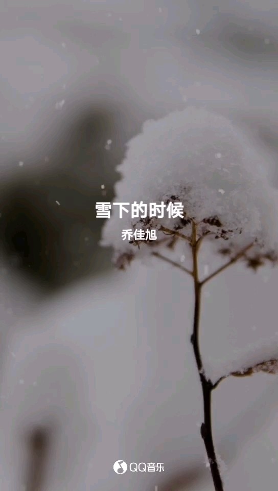 乔佳旭《雪下的时候》,是想念的时候,歌声伤感动情