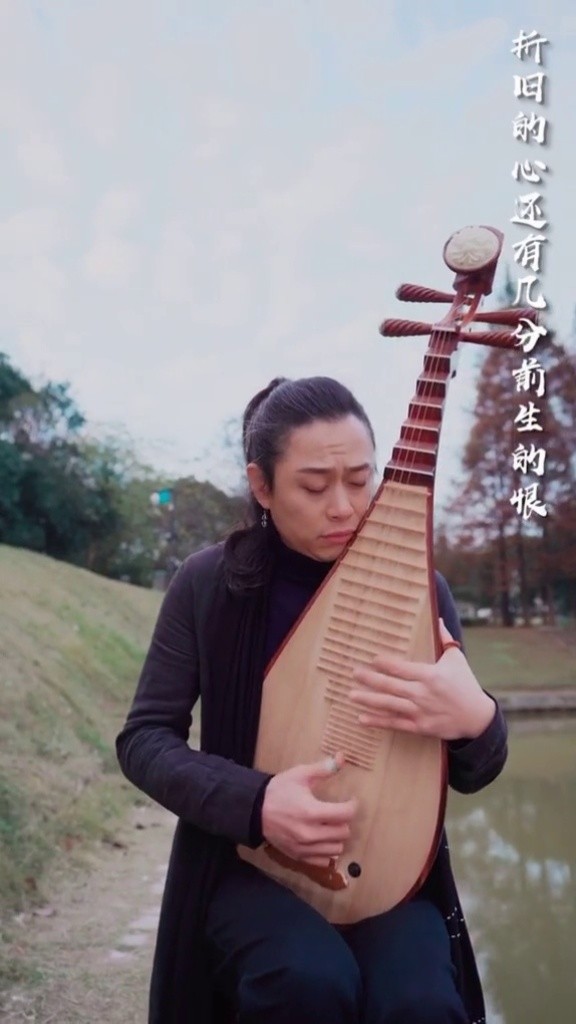 琵琶#凉凉#弘扬估乐