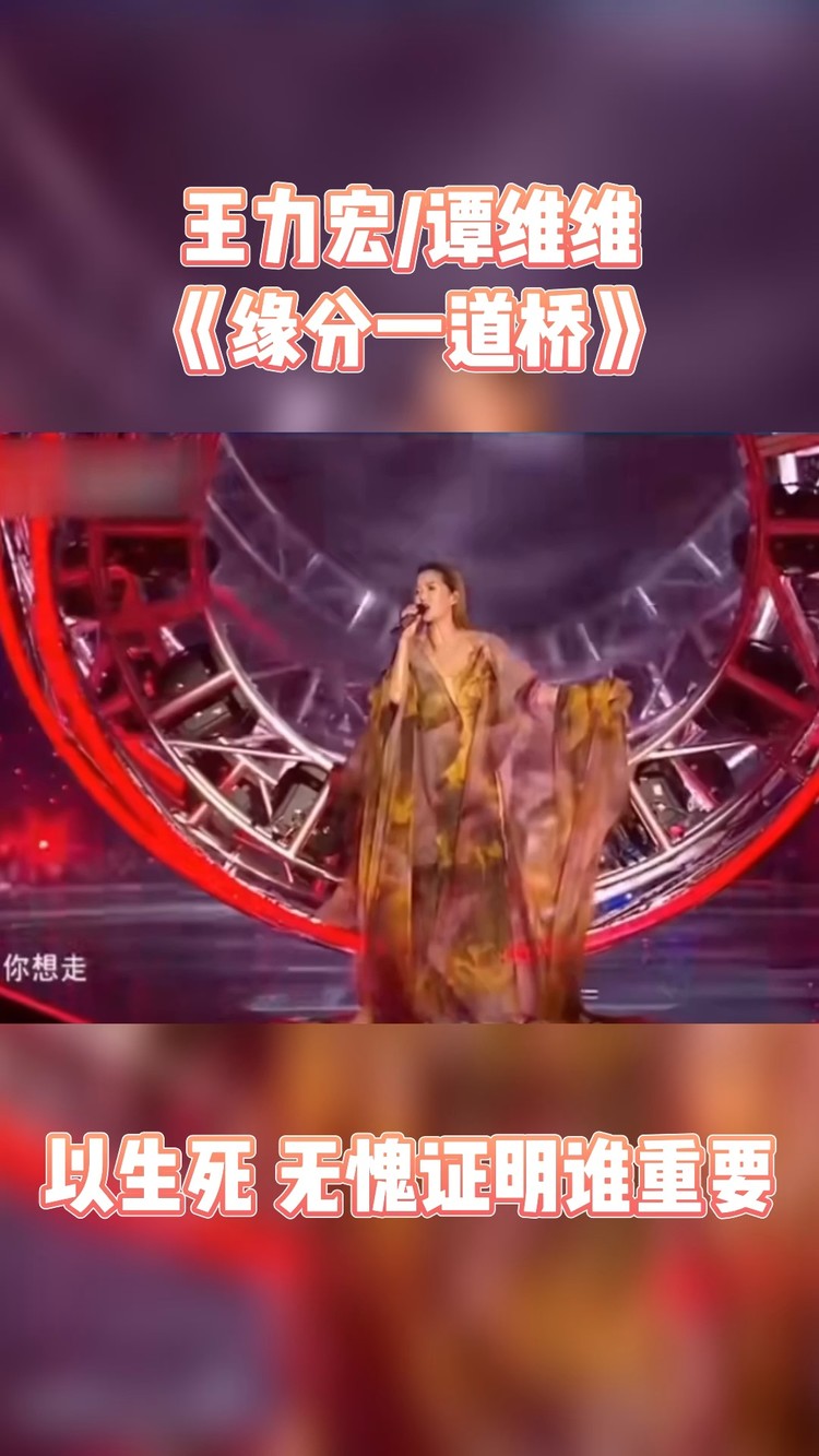 王力宏/谭维维《缘分一道桥》