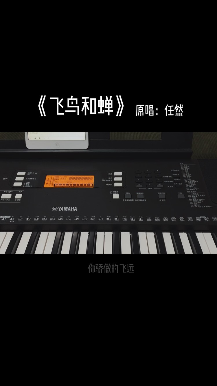  - 《飞鸟和蝉》