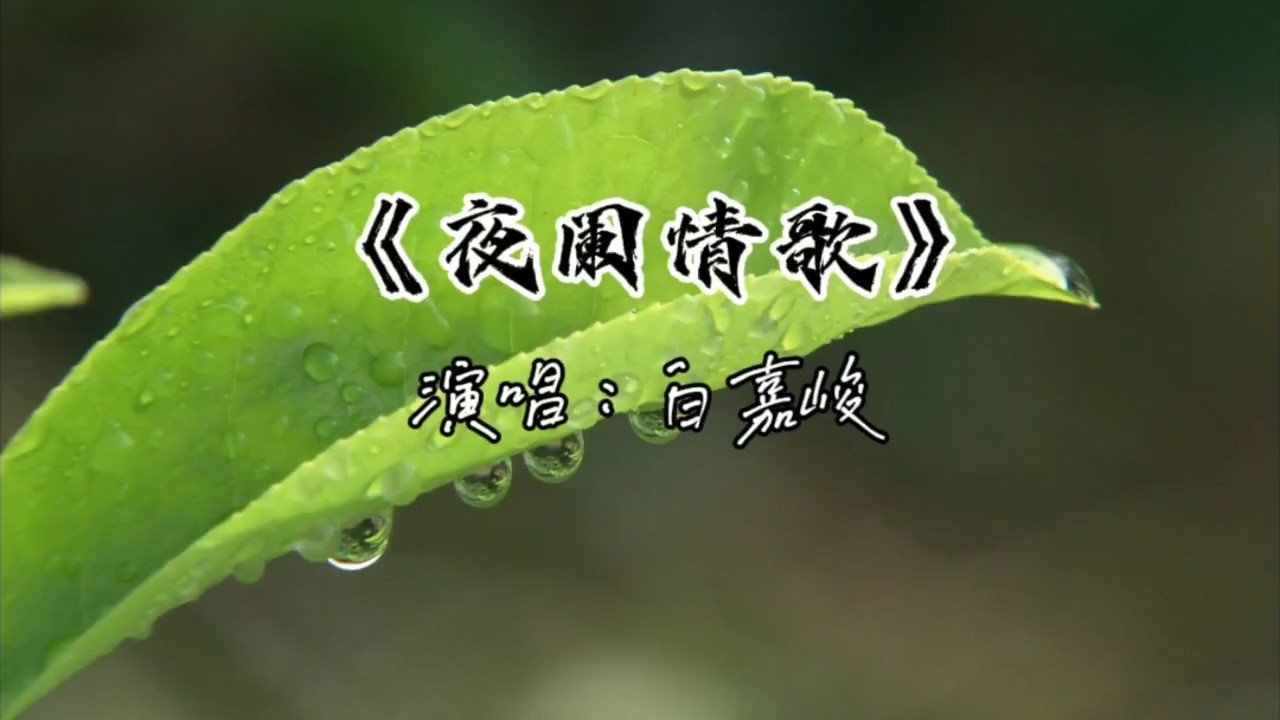 新年网络爆火歌曲,白嘉峻《夜阑情歌,古风之韵,充满了诗意