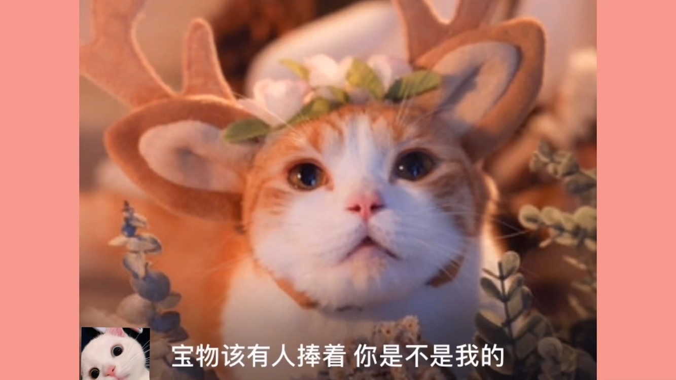  - 《天外来物》