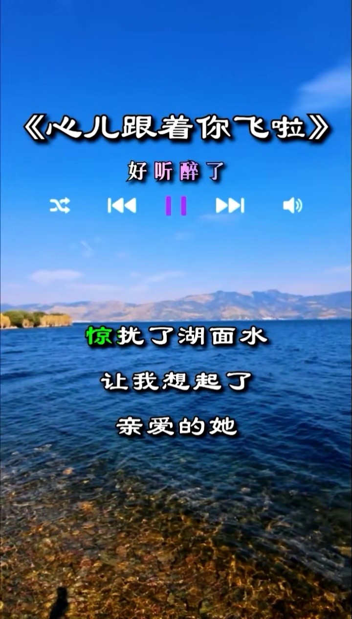 心儿跟着你飞啦 #完整版#热歌 #情感音乐分享 #太好听了 #热门-高清