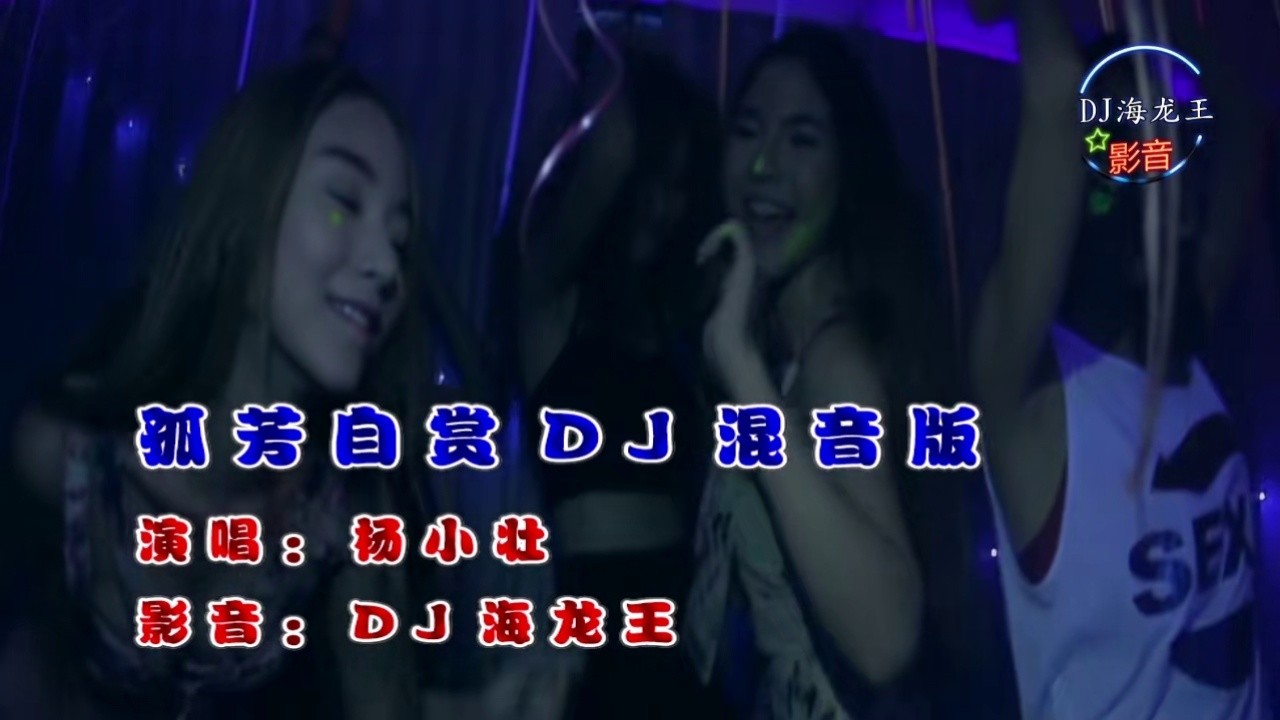 dj火了,因为这首歌唱出了太多人的心声#杨小壮#孤芳自赏#dj