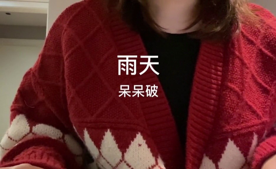 呆呆破的雨天