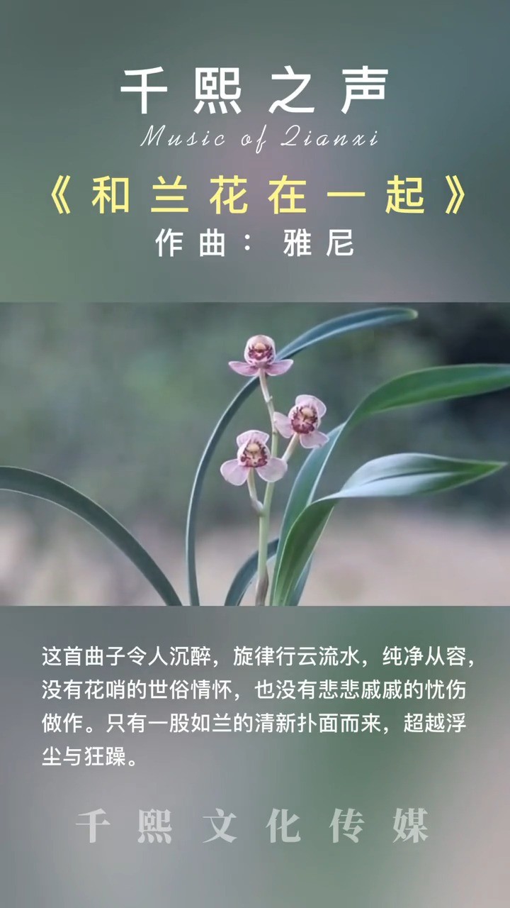 yanni雅尼【心兰相随【with an orchid】北京现场-高清mv在线看-qq