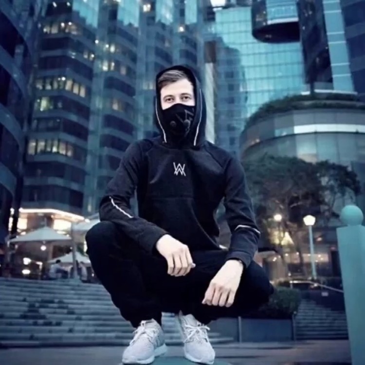 alanwalker风格,alanwalker alanwalkergravity