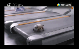 300_188gif 动态图 动图