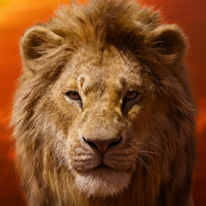 辛巴Simba（Donald Glover 配音）