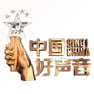 谁是年度好声音？