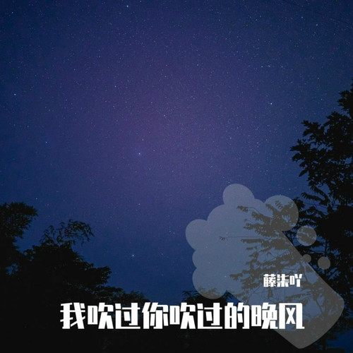 我吹过你吹过的晚风