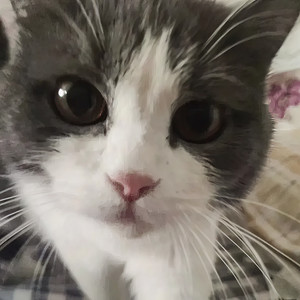 divineemissary资料,divineemissary最新歌曲,divineemissaryMV视频,divineemissary音乐专辑,divineemissary好听的歌