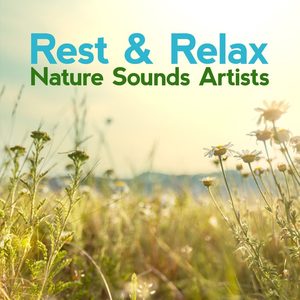 Rest & Relax Nature Sounds Artists