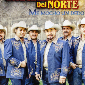Los Traileros Del Norte资料,Los Traileros Del Norte最新歌曲,Los Traileros Del NorteMV视频,Los Traileros Del Norte音乐专辑,Los Traileros Del Norte好听的歌