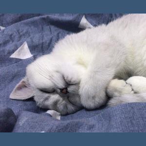 酱梨资料,酱梨最新歌曲,酱梨MV视频,酱梨音乐专辑,酱梨好听的歌