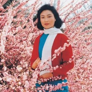 我为共产主义把青春贡献 (55秒片段)