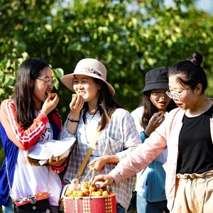 遇见彭阳资料,遇见彭阳最新歌曲,遇见彭阳MV视频,遇见彭阳音乐专辑,遇见彭阳好听的歌