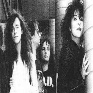 Blitzz资料,Blitzz最新歌曲,BlitzzMV视频,Blitzz音乐专辑,Blitzz好听的歌