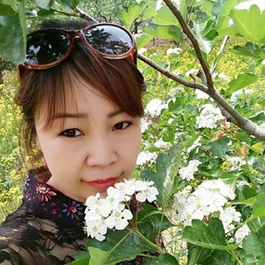 温馨四季资料,温馨四季最新歌曲,温馨四季MV视频,温馨四季音乐专辑,温馨四季好听的歌