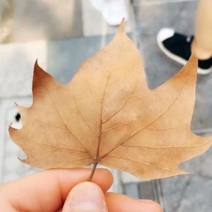 恬莱资料,恬莱最新歌曲,恬莱MV视频,恬莱音乐专辑,恬莱好听的歌