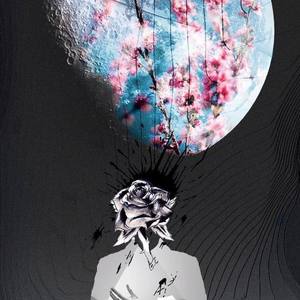 WoodenToaster资料,WoodenToaster最新歌曲,WoodenToasterMV视频,WoodenToaster音乐专辑,WoodenToaster好听的歌