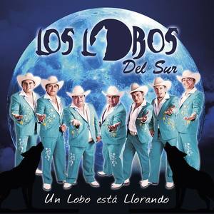 Los Lobos Del Sur