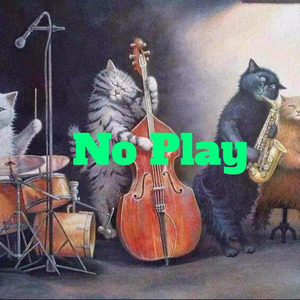 NO PLAY