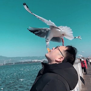 爱情里没有谁对谁错