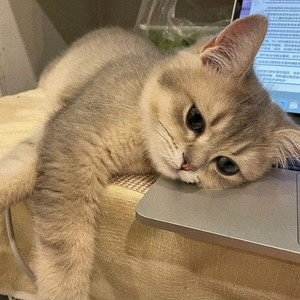 那时那月资料,那时那月最新歌曲,那时那月MV视频,那时那月音乐专辑,那时那月好听的歌