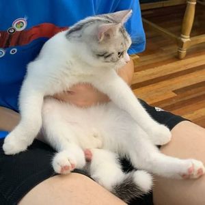 小星星的芬恩资料,小星星的芬恩最新歌曲,小星星的芬恩MV视频,小星星的芬恩音乐专辑,小星星的芬恩好听的歌