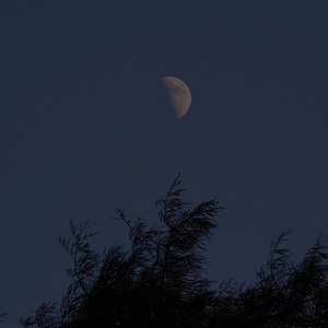 弎佰资料,弎佰最新歌曲,弎佰MV视频,弎佰音乐专辑,弎佰好听的歌