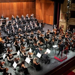 Orchestra del Teatro Lirico Giuseppe Verdi di Trieste