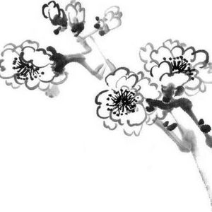 三七Merman资料,三七Merman最新歌曲,三七MermanMV视频,三七Merman音乐专辑,三七Merman好听的歌