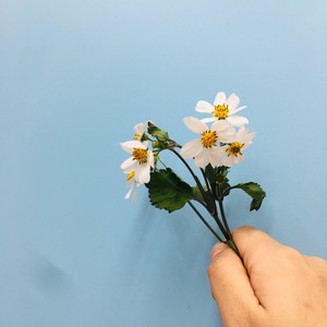 YUAN资料,YUAN最新歌曲,YUANMV视频,YUAN音乐专辑,YUAN好听的歌