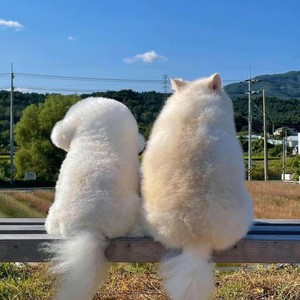 Mermer R资料,Mermer R最新歌曲,Mermer RMV视频,Mermer R音乐专辑,Mermer R好听的歌