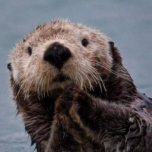 温晨资料,温晨最新歌曲,温晨MV视频,温晨音乐专辑,温晨好听的歌