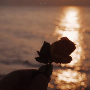 海的爱资料,海的爱最新歌曲,海的爱MV视频,海的爱音乐专辑,海的爱好听的歌