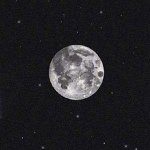 星月资料,星月最新歌曲,星月MV视频,星月音乐专辑,星月好听的歌