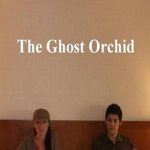 The Ghost Orchid