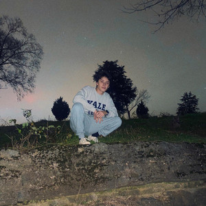 Cicada (feat. Padraic Quirk & Nate G)