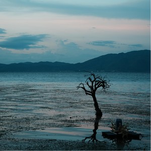 我抱了条狗资料,我抱了条狗最新歌曲,我抱了条狗MV视频,我抱了条狗音乐专辑,我抱了条狗好听的歌