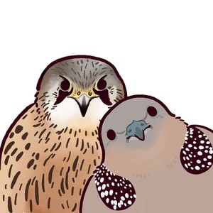 止墨资料,止墨最新歌曲,止墨MV视频,止墨音乐专辑,止墨好听的歌