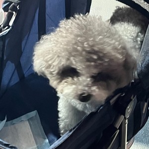 yogeng资料,yogeng最新歌曲,yogengMV视频,yogeng音乐专辑,yogeng好听的歌