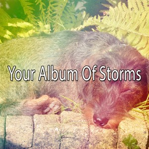 Relaxing Rain Sounds资料,Relaxing Rain Sounds最新歌曲,Relaxing Rain SoundsMV视频,Relaxing Rain Sounds音乐专辑,Relaxing Rain Sounds好听的歌