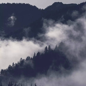 小猫指弹资料,小猫指弹最新歌曲,小猫指弹MV视频,小猫指弹音乐专辑,小猫指弹好听的歌