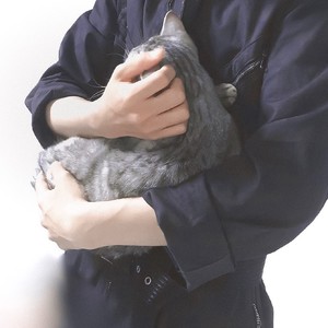 skiing资料,skiing最新歌曲,skiingMV视频,skiing音乐专辑,skiing好听的歌