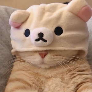 喵小人资料,喵小人最新歌曲,喵小人MV视频,喵小人音乐专辑,喵小人好听的歌