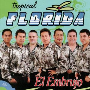 Tropical Florida资料,Tropical Florida最新歌曲,Tropical FloridaMV视频,Tropical Florida音乐专辑,Tropical Florida好听的歌