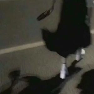 突然好想你 (Demo)